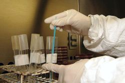 Stages of drug development